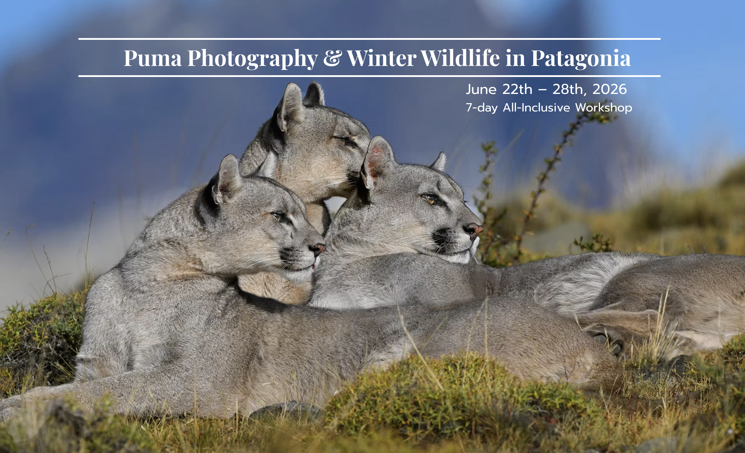 pumas patagonia tamara lackey and kristi odom nikon ambassadors photography workshop